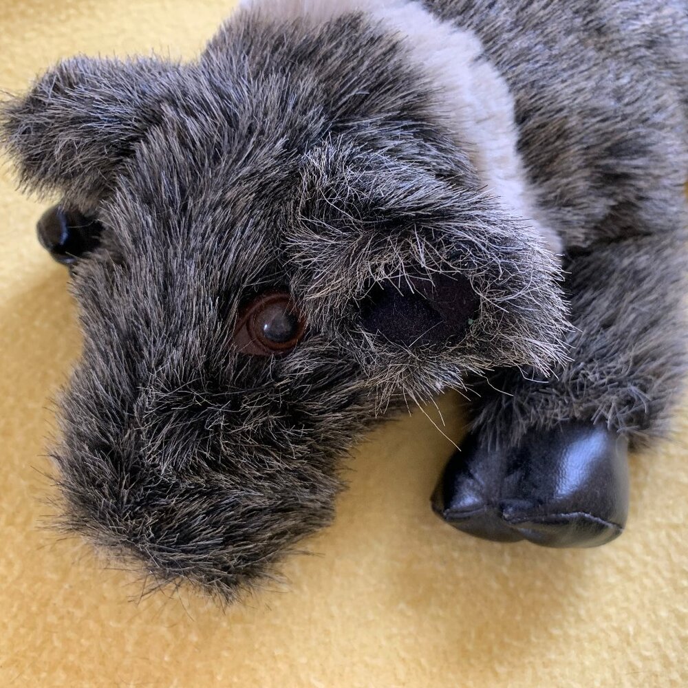 Plush Javelina